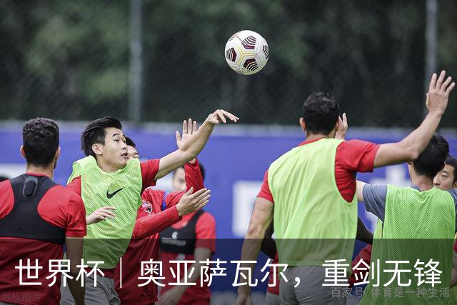 世界杯｜奥亚萨瓦尔，重剑无锋
