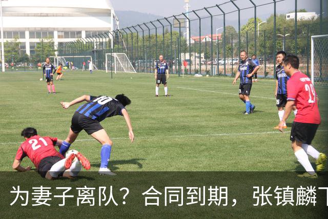 为妻子离队？合同到期，张镇麟下家4选1，广东2队有机会