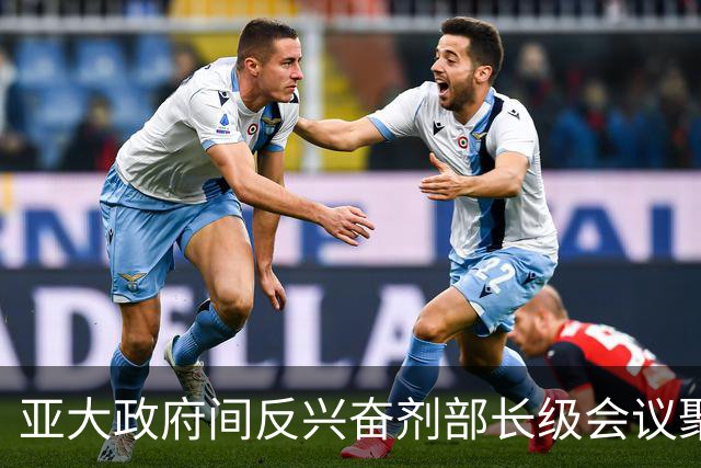 亚大政府间反兴奋剂部长级会议聚焦新版《世界反兴奋剂条例》落地实施