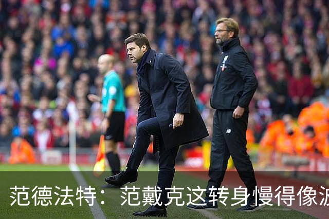 范德法特：范戴克这转身慢得像波音747，这可不是什么好事